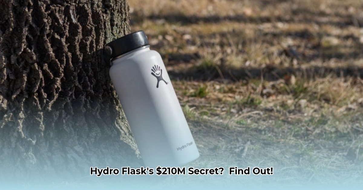hydro-flask-net-worth